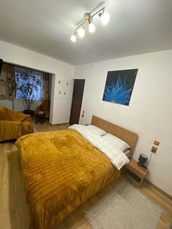 Casa Felice Braşov Exterior foto